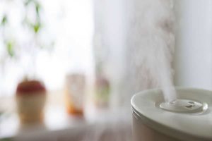 humidifier calgary